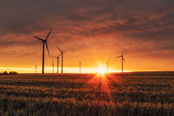 Wind farm construction